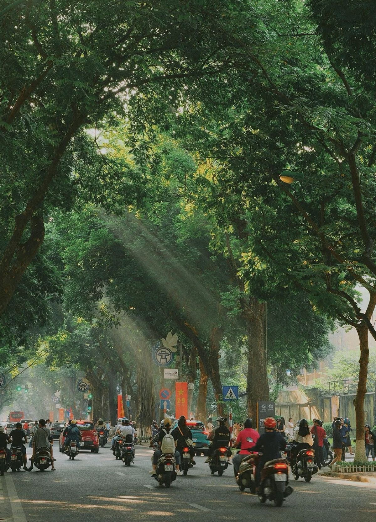 Việt Nam có nơi khiến CEO Apple Tim Cook phải lòng ngay lần đầu ghé thăm, sánh ngang Paris và Kyoto