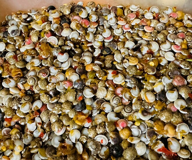 Giá vàng đu đỉnh cũng không bằng lon ốc lể miền Trung