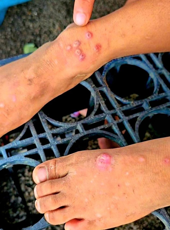 Không có tiêu đề