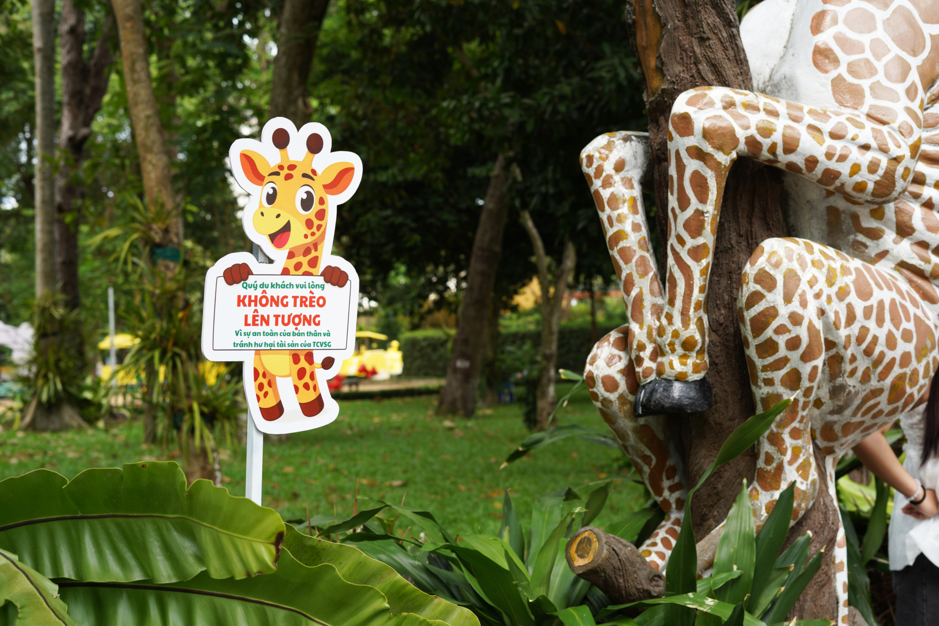 Sau loạt cảnh báo leo trèo nguy hiểm tại Thảo Cầm Viên: Giới trẻ nâng cao ý thức, đội nắng xếp hàng săn ảnh giống Sơn Tùng MTP