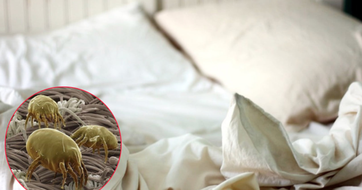 Sự thật phía sau lớp ga giường trắng muốt tại khách sạn, có sạch như chúng ta tưởng?