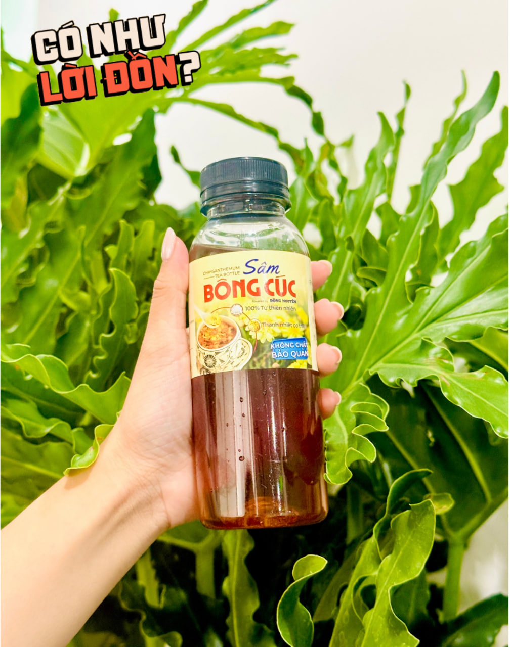 Quán cơm gà hơn 80 năm tuổi, ngon cỡ nào mà được Jun Phạm tâm đắc