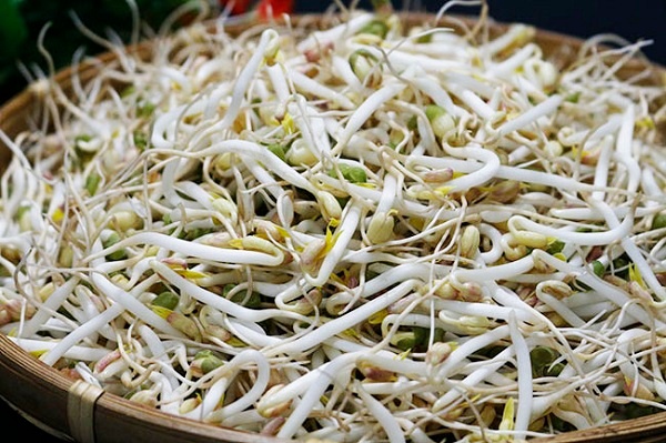 Lời khuyên đến những gia đình tự trồng giá đỗ