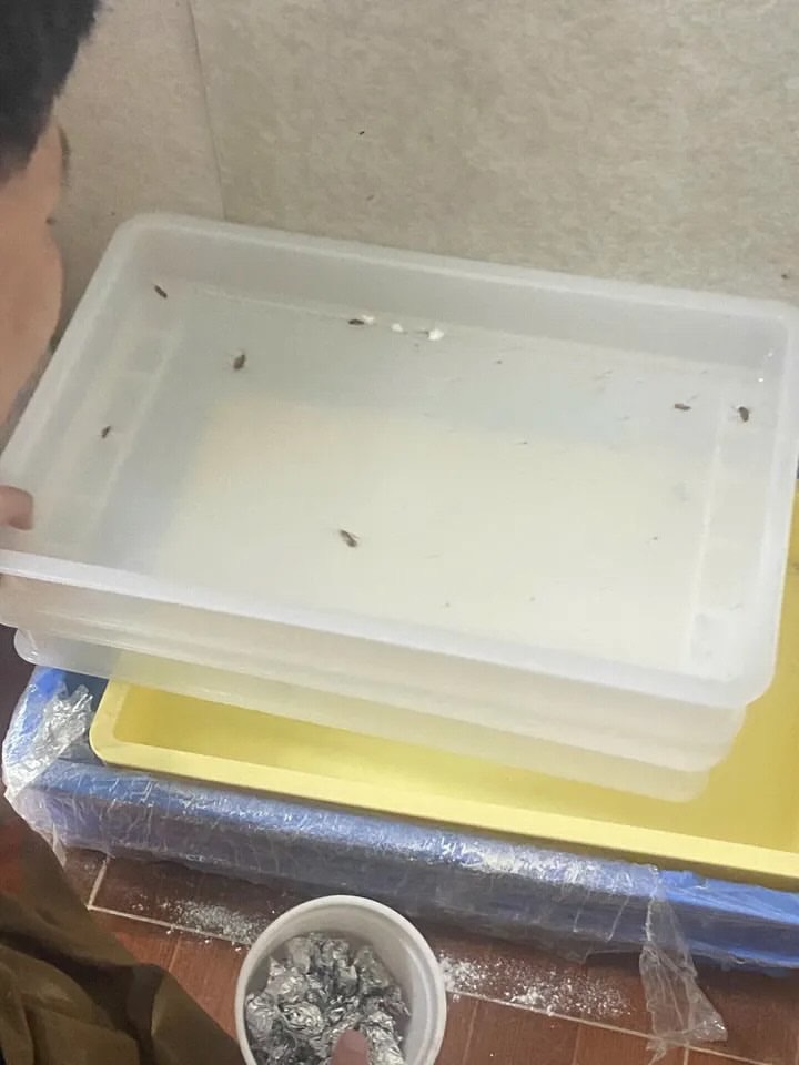 Xôn xao hình ảnh nghi vấn bếp bẩn tại tiệm bánh nổi tiếng Hà Nội, đại diện quán chính thức lên tiếng