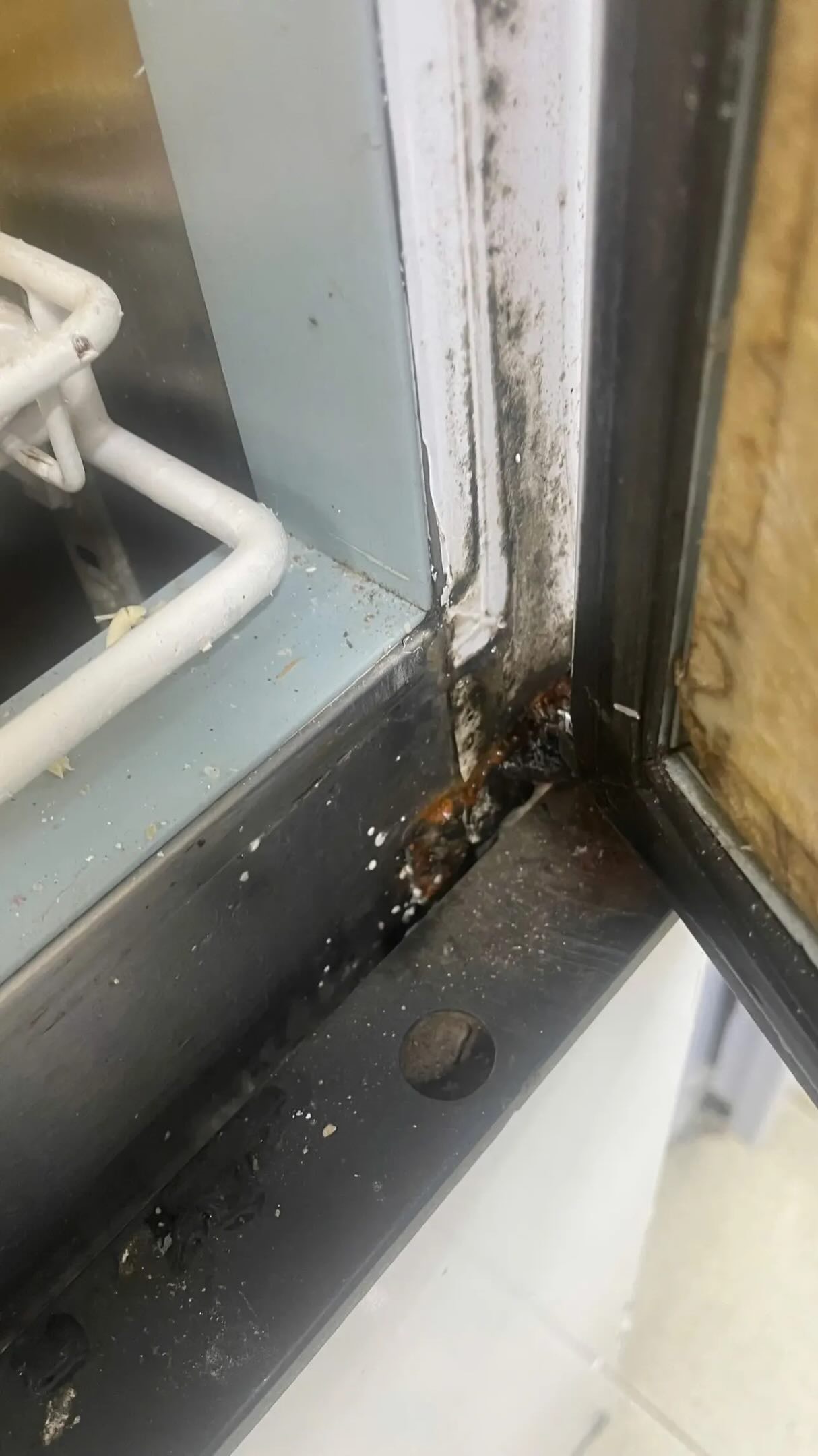 Xôn xao hình ảnh nghi vấn bếp bẩn tại tiệm bánh nổi tiếng Hà Nội, đại diện quán chính thức lên tiếng