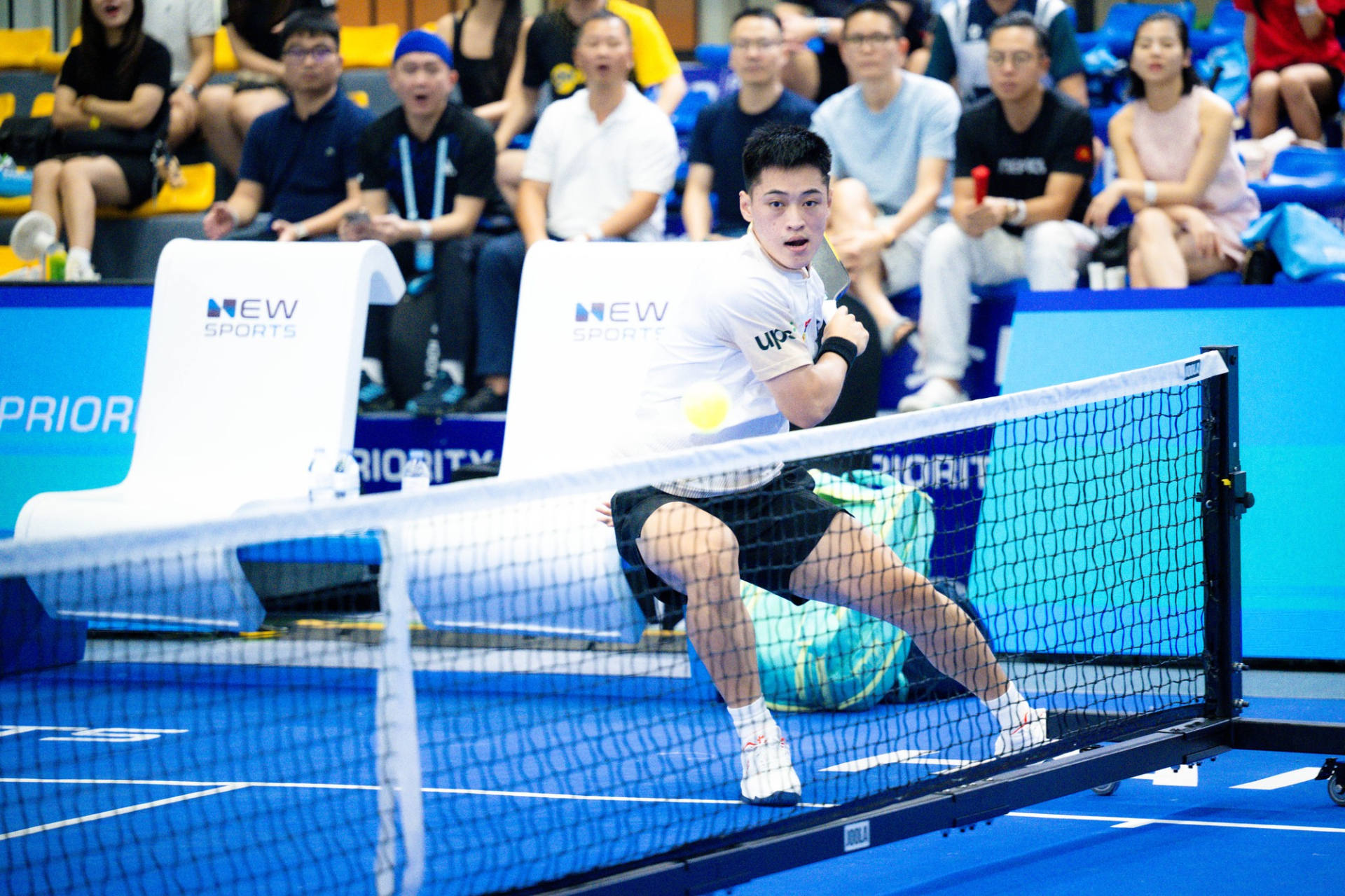 Rộ tin Vinh Hiển ký hợp đồng với PPA (Ảnh: Như Hoàn)