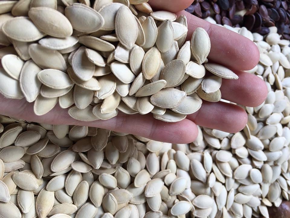 Lời khuyên đến những gia đình đang trồng cây bí đỏ