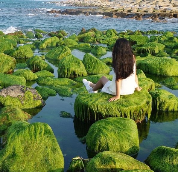 Không thể tin vào mắt mình, đến Phú Yên rồi mới biết không có mỹ từ nào miêu tả hết vẻ đẹp này! 