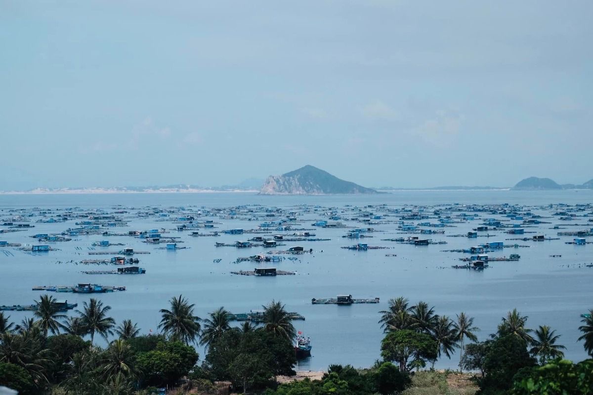 Không thể tin vào mắt mình, đến Phú Yên rồi mới biết không có mỹ từ nào miêu tả hết vẻ đẹp này! 