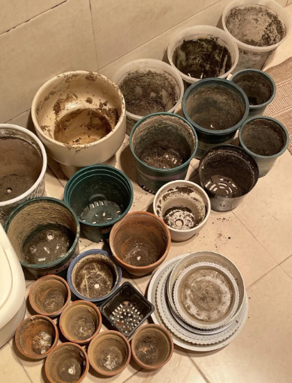 7 việc nhà vô bổ khiến bạn tự làm khổ mình