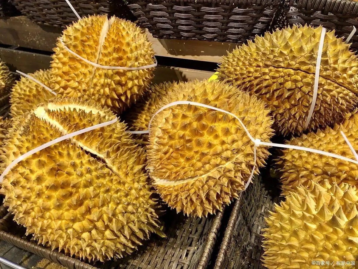 Săn sầu riêng tại các chợ đầu mối đang là một trào lưu sau khi cư dân mạng biết được mức giá siêu rẻ của loại trái cây này