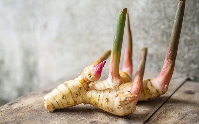 Lời khuyên đến những gia đình đang trồng riềng