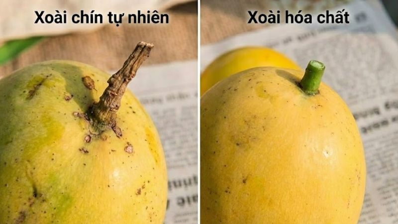 Lời khuyên khi mua xoài