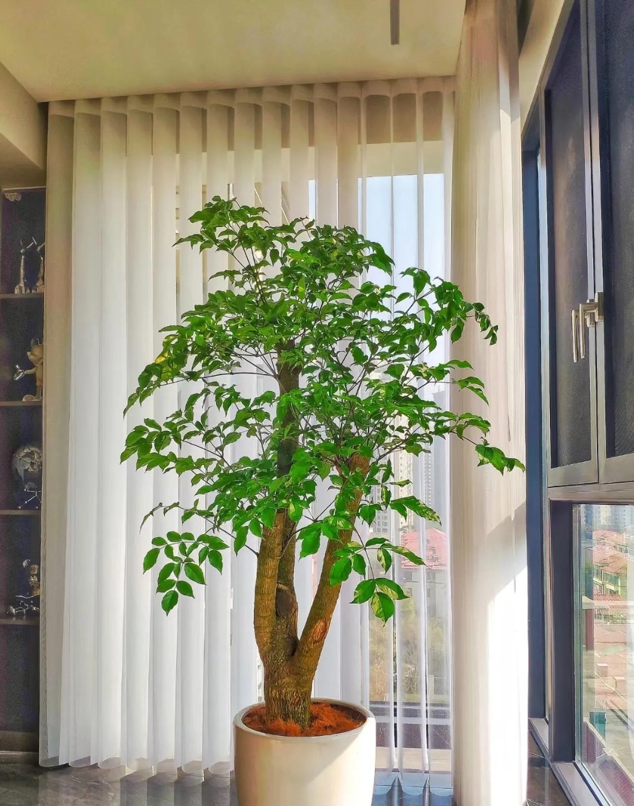 4 lời khuyên dành cho các gia đình đang trồng cây hạnh phúc