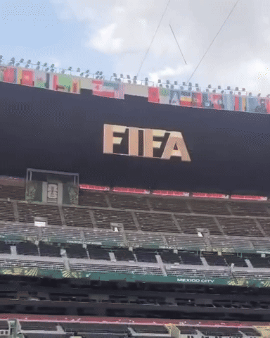 Lá cờ Việt Nam được treo tại SVĐ diễn ra khai mạc World Cup