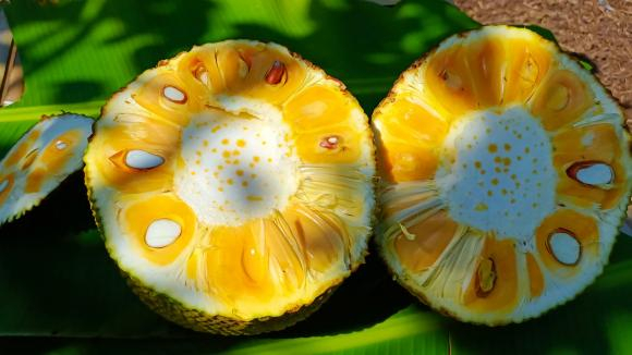 Đi chợ mua mít: Nhớ kỹ 6 mẹo để chọn được quả chín cây, nhiều múi, thơm ngọt tự nhiên