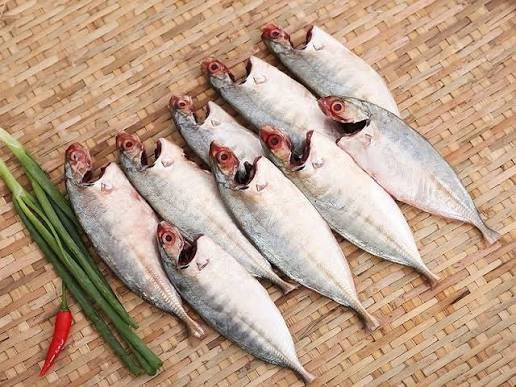 5 loại cá đang vào vụ, thịt ngon nhất năm: Người bán cũng ưu tiên mang về ăn