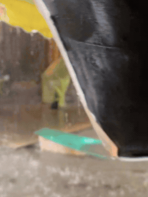 Lê Dương Bảo Lâm gây hoang mang khi đăng clip nhiều đồ đạc, máy móc chìm trong nước 