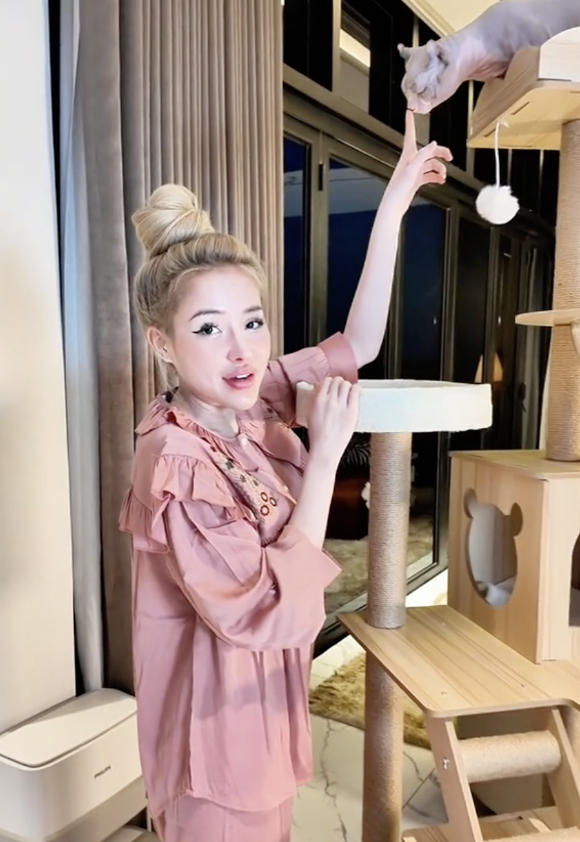 Ngân 98 cũng nuôi rất nhiều mèo cưng tại căn penthouse