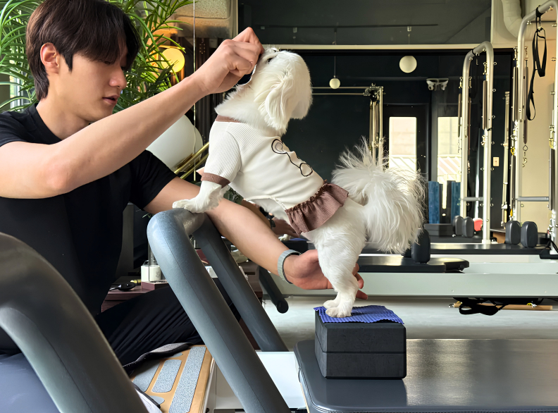Mary - 2 tuổi trong 1 buổi tập Pilates cùng HLV Jeon Hyun-min