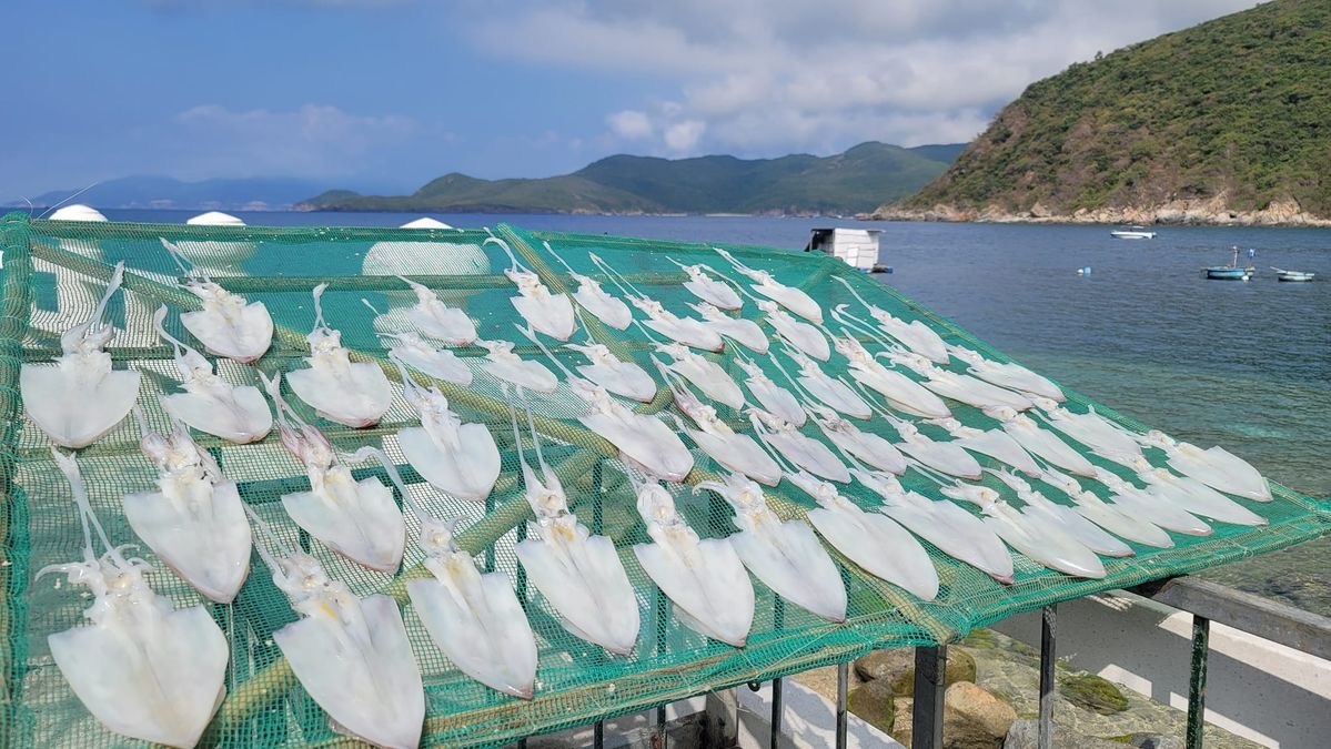 Địa điểm được truyền tai nhau là nơi có nước biển trong nhất Việt Nam, đến nay vẫn chưa từng có khách sạn nào