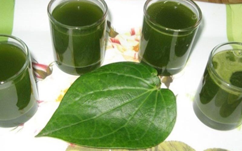 Có rất nhiều cách tận dụng lá lốt trong cuộc sống hàng ngày (Ảnh minh họa)