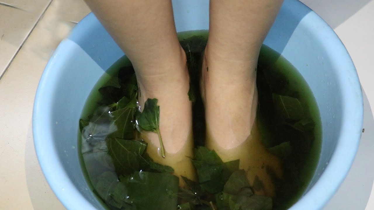 Dùng lá lốt ngâm chân giúp giảm mùi hồi và chứng tằng tiết mồ hôi (Ảnh minh họa)