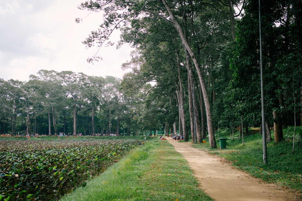 Lượng khách tăng mạnh sau MV của Phương Mỹ Chi, đi Trà Vinh dịp lễ này thế nào để có ảnh đẹp mang về?
