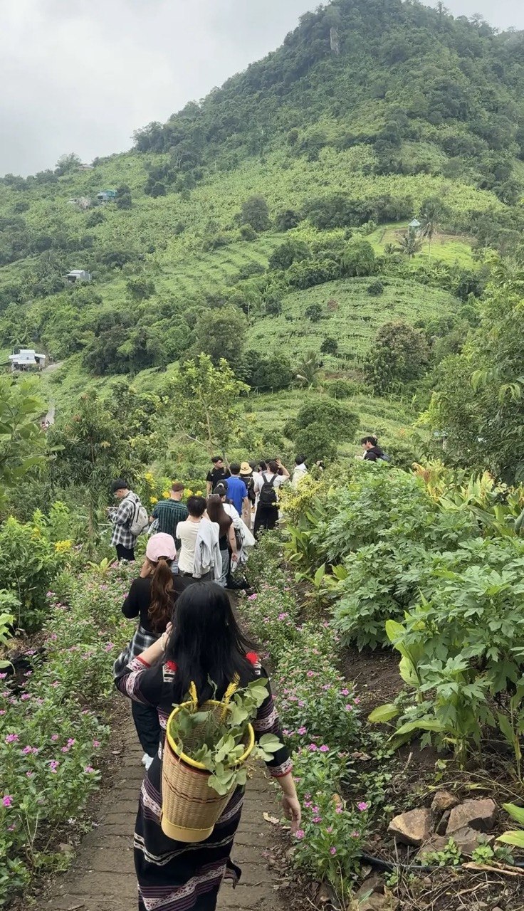 Ảnh: Nhà mình có tiền mà