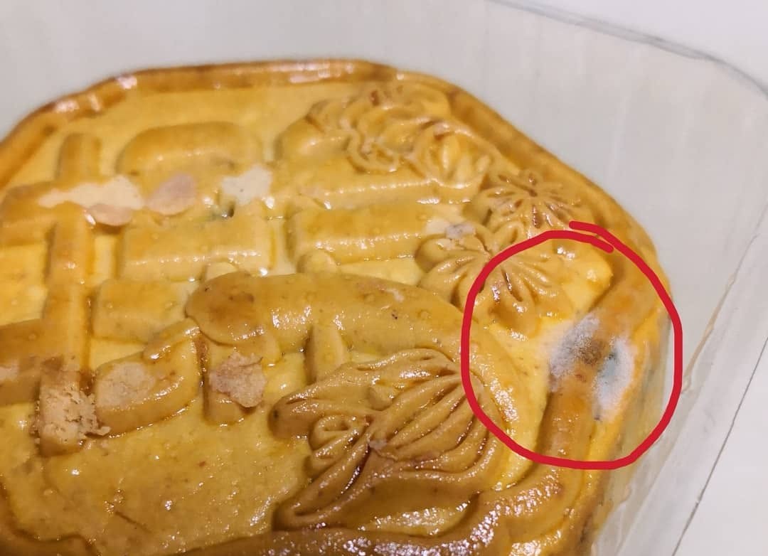 Tuyệt đối không ăn bánh trung thu hay bất cứ thực phẩm nào có dấu hiệu nấm mốc (Ảnh minh họa: Asia One)