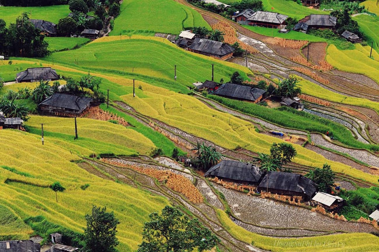 Phát hiện dân tộc hơn 15.000 người ở Việt Nam ăn Tết vào tháng Bảy âm lịch, sở hữu ruộng bậc thang top 51 điểm đến đẹp nhất thế giới