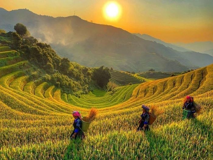 Phát hiện dân tộc hơn 15.000 người ở Việt Nam ăn Tết vào tháng Bảy âm lịch, sở hữu ruộng bậc thang top 51 điểm đến đẹp nhất thế giới