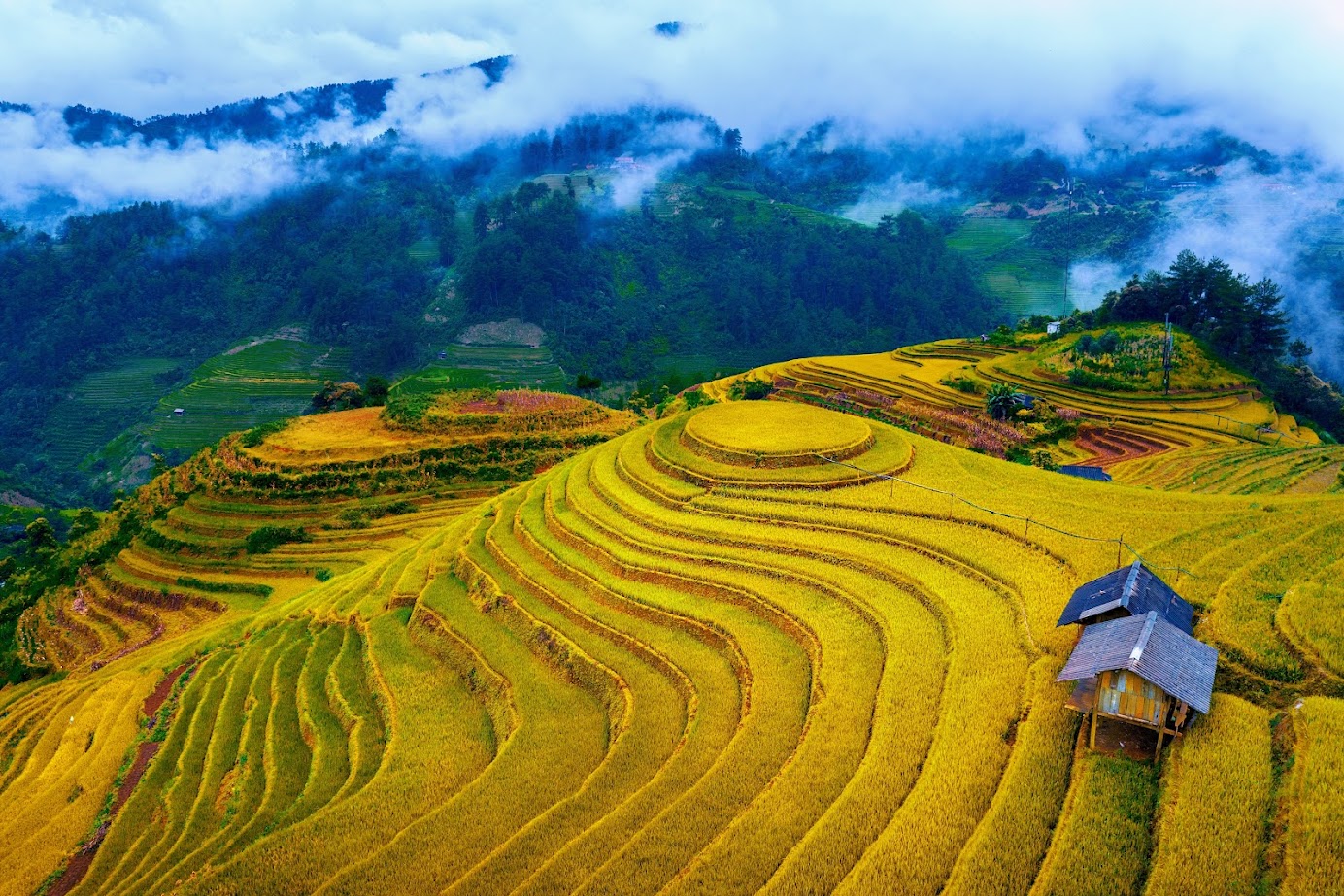 Vì sao vé máy bay đến Việt Nam tháng 9 lại rẻ đến vậy?
