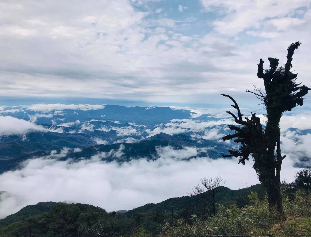 Phát hiện Quán nhà Haha ở nơi có 34 hộ dân, cao gần 1.000 m, giữ hàng trăm đàn ong tổ to bằng manh chiếu mà không lấy mật