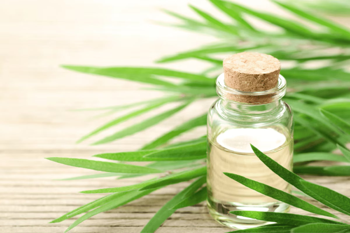 Câu hỏi Ai Là Triệu Phú khiến ai đi máy bay cũng giật mình: “Nước mắm hay dầu tràm mới là hàng hóa nguy hiểm?”