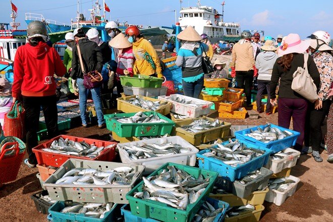 Việt Nam có hòn đảo mỗi năm chỉ làm ăn 6 tháng: hết mùa là tháo lồng bè, khách muốn ăn mì mực 30.000 đồng phải đợi sang tháng 3