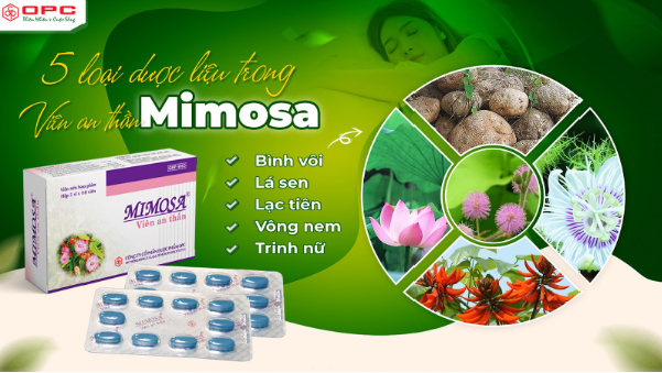 5 loại dược liệu trong Viên an thần Mimosa