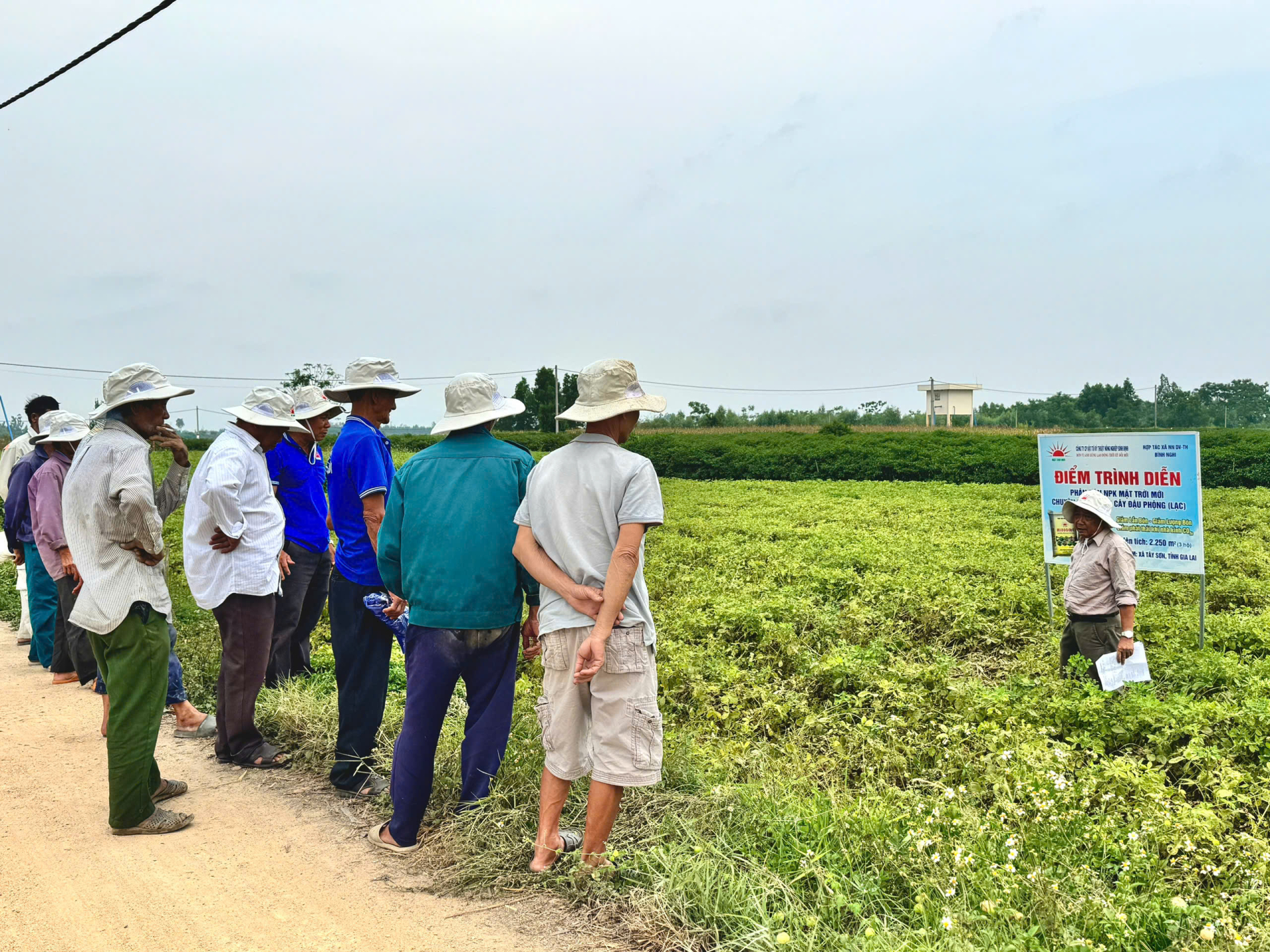 Bà con nông dân xã Tây Sơn thăm quan mộ hình trình diễn tại HTX Nông nghiệp Dịch vụ Tổng hợp Bình Nghi
