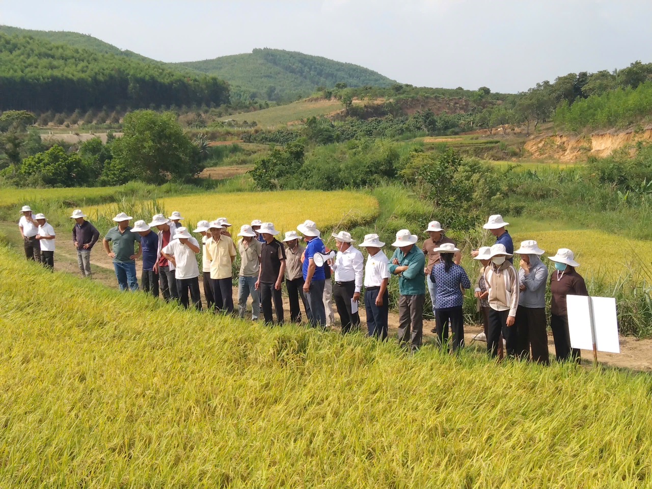 Nông dân thăm mô hình sử dụng phân bón NPK thế hệ mới công nghệ Eco-Nanomix - thương hiệu Phân bón Mặt Trời Mới tại xã Cư Yang (Đắk Lắk)