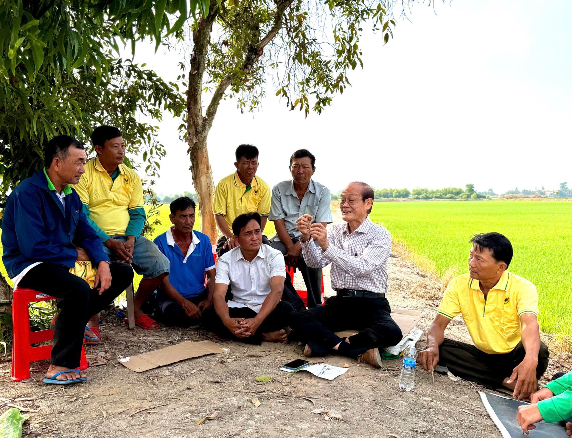 GS.TS. Nguyễn Bảo Vệ (thứ 2 từ phài qua)- Chuyên gia chương trình “Hành trình xanh - Đất khỏe - Cây trồng khỏe” đang trao đổi, hướng dẫn kỹ thuật cải tạo đất phèn và chăm sóc rễ lúa cho ông Nguyễn Trung Phấn cùng các nông dân tại bờ ruộng.
