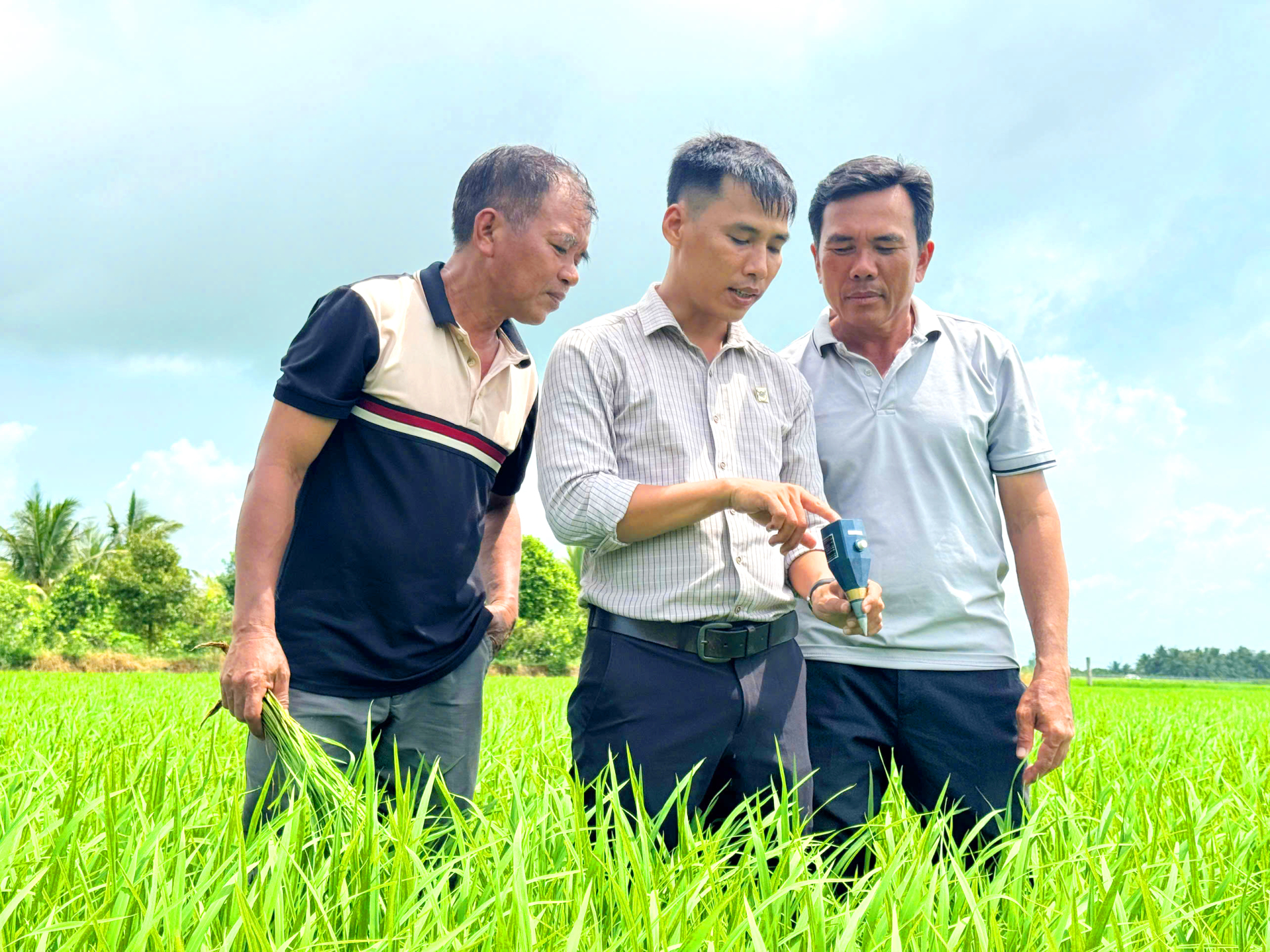 Thông qua chương trình “Hành trình xanh - Đất khỏe, cây trồng khỏe”, nông dân được hướng dẫn đo các chỉ tiêu đồng ruộng, đánh giá sức khỏe đất để áp dụng giải pháp canh tác phù hợp.