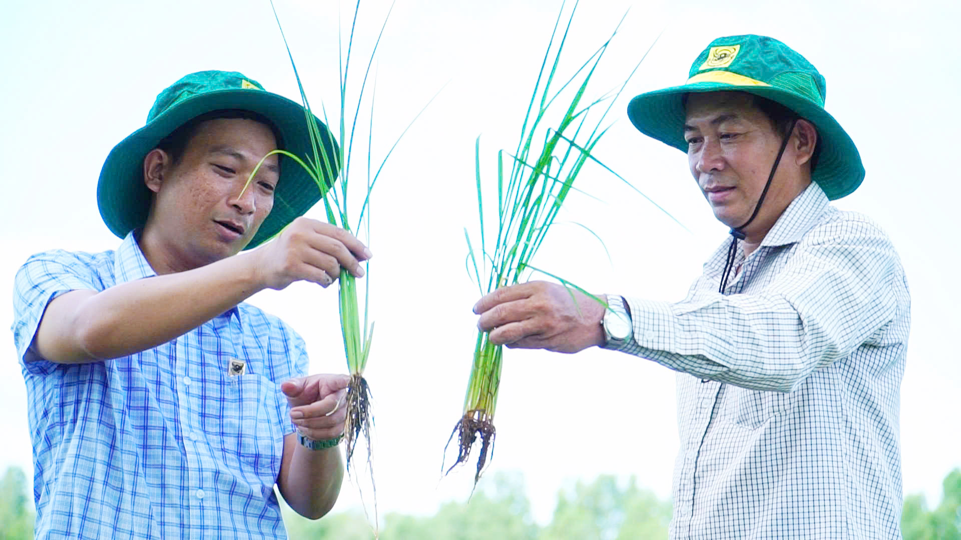 Sự thay đổi tư duy từ