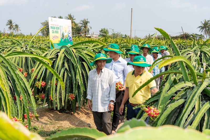 Phân Bón Cà Mau luôn đồng hành cùng bà con trong nhiều hoạt động
