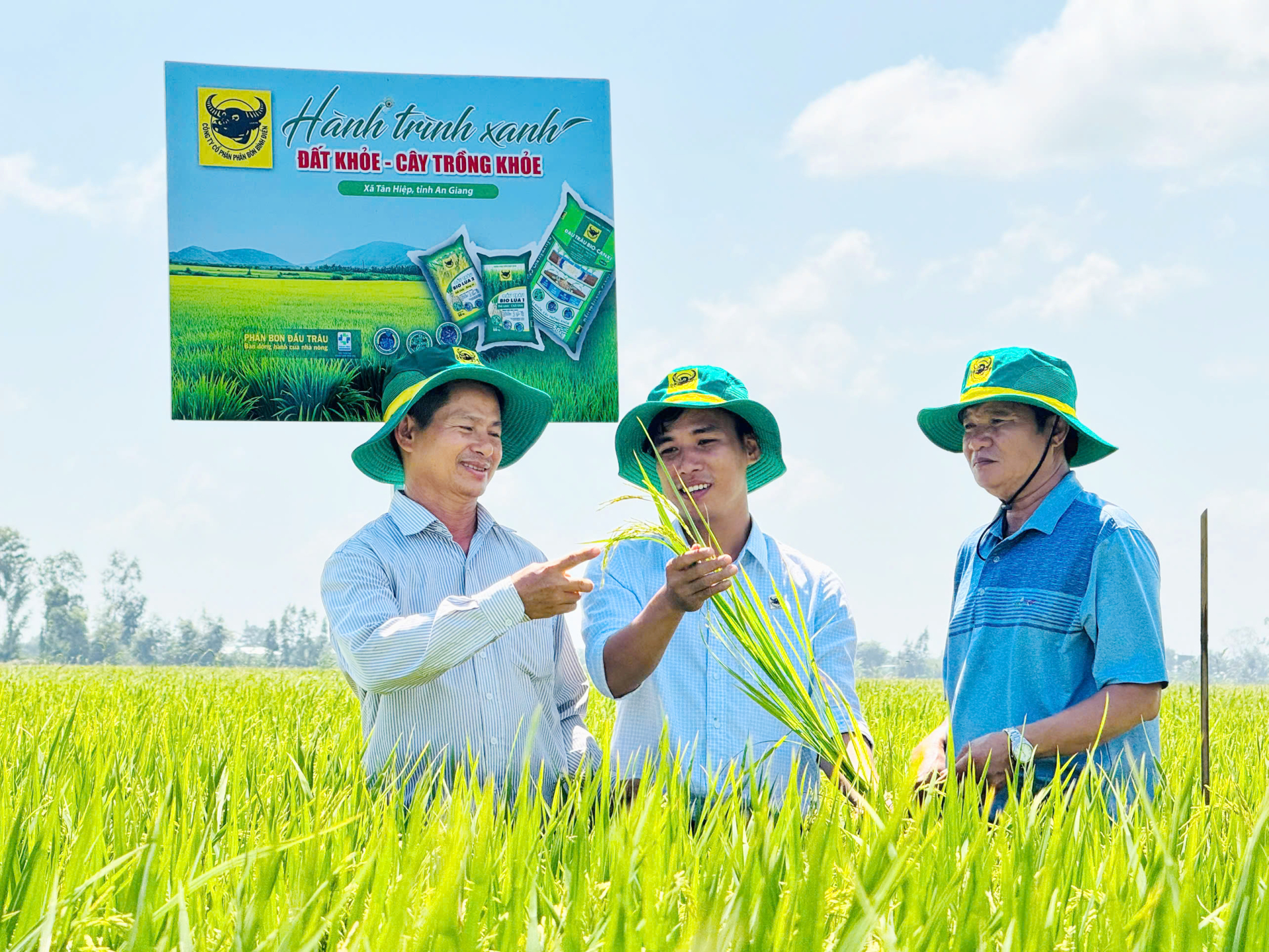 Ông Võ Hoàng Lưỡng (bìa phải) cùng nông dân và cán bộ kỹ thuật Công ty Cổ phần Phân bón Bình Điền trao đổi, đánh giá sự phát triển của ruộng lúa tham gia mô hình