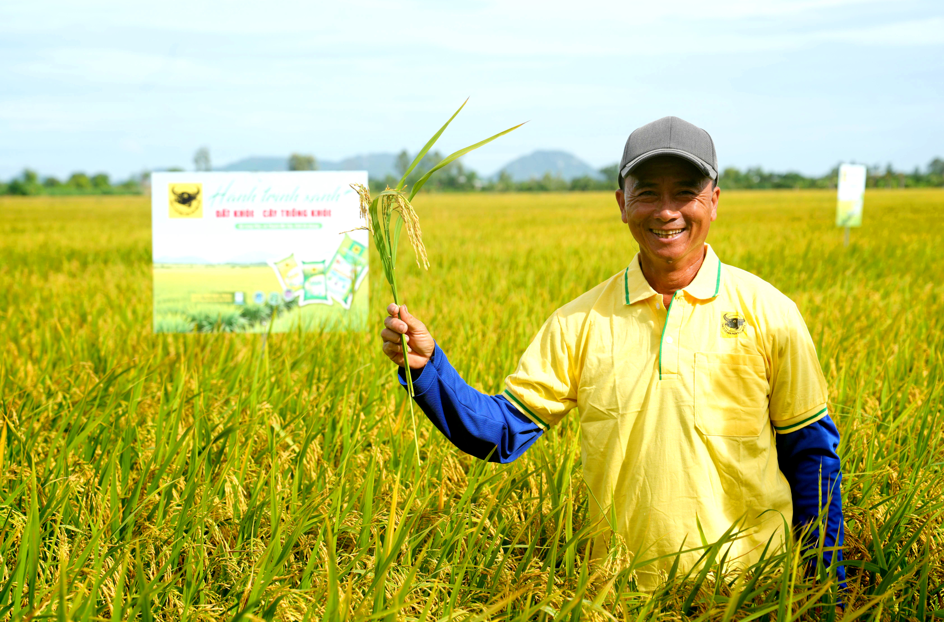 Nông dân tham gia mô hình “Hành trình Xanh – Đất khỏe, cây trồng khỏe” phấn khởi với ruộng lúa sinh trưởng tốt, đạt năng suất cao nhờ nâng pH đất phèn và áp dụng đồng bộ bộ giải pháp phân bón Đầu Trâu Bio-Canxi. (Ảnh: Hành Trình Xanh)