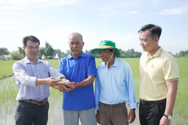 Ông Lê Văn Trạng (Tây Ninh) học hỏi Bí kíp vàng từ Phân bón Cà Mau trong canh tác lúa hiệu quả