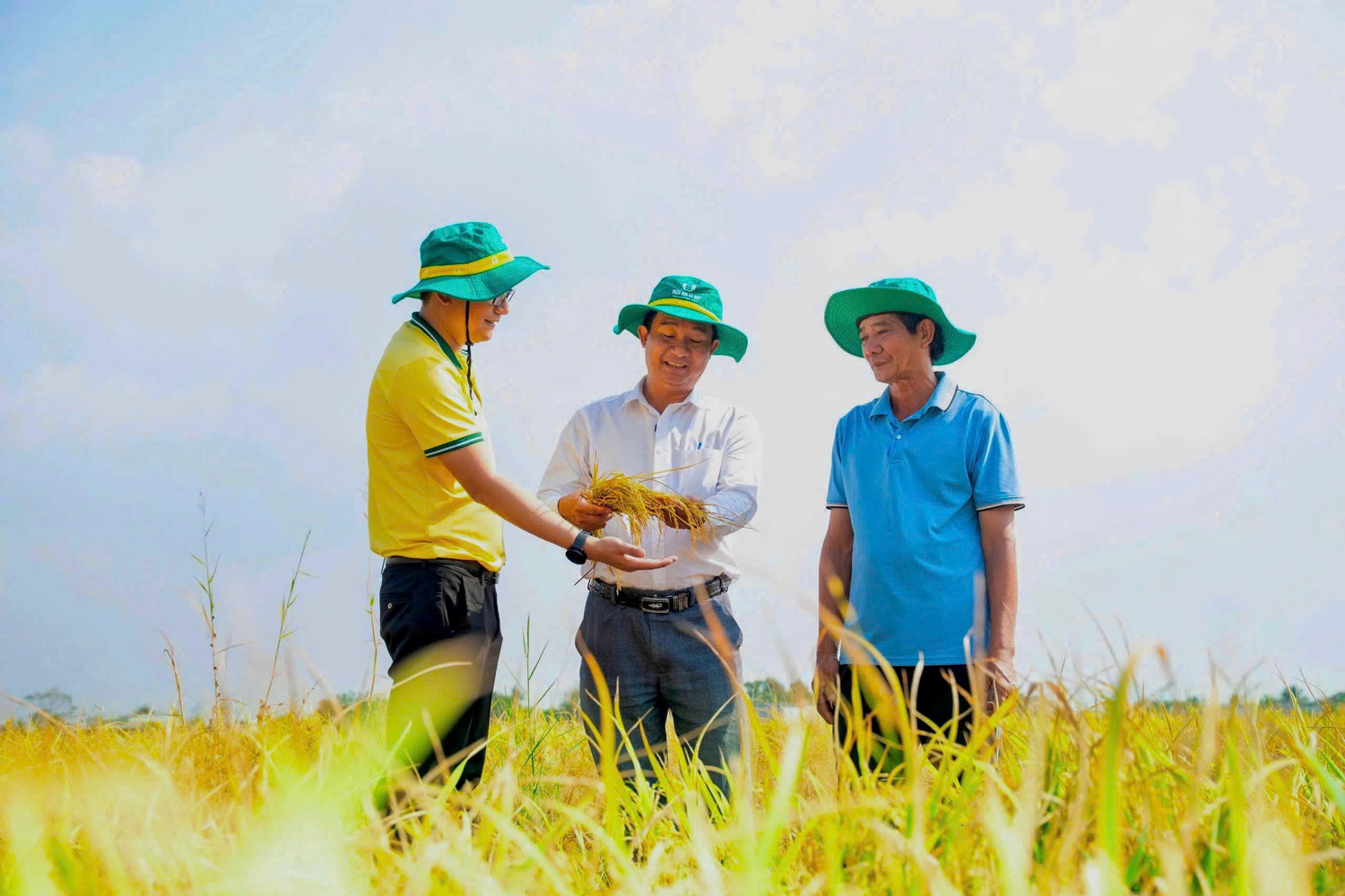 PVCFC góp phần nâng cao hiệu quả canh tác, giúp bà con tiếp cận các giải pháp nông nghiệp phù hợp hơn