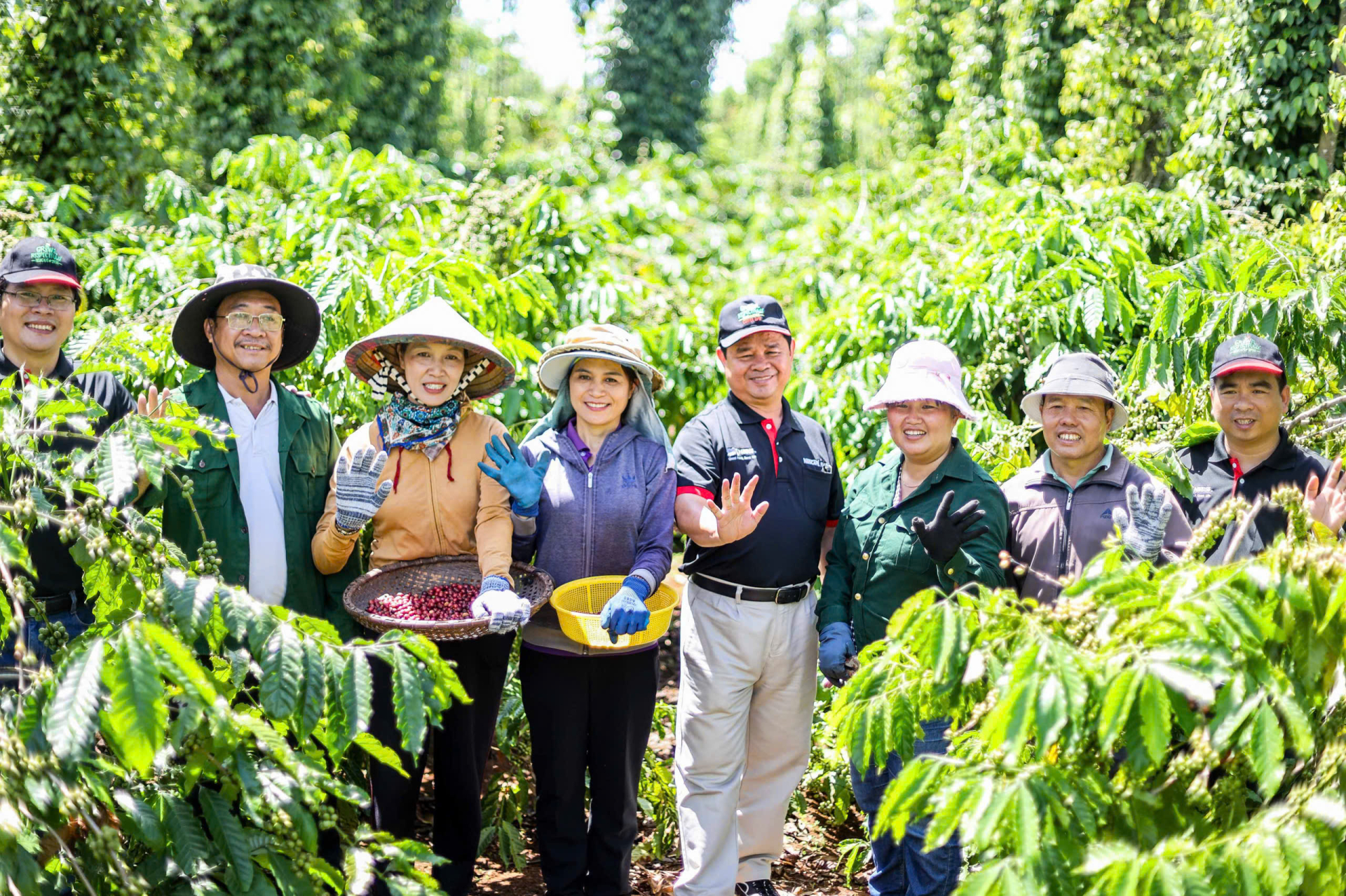 Thông qua Chương trình NESCAFÉ Plan, Nestlé Việt Nam đã đồng hành cùng hơn 23.000 hộ nông dân tại Tây Nguyên, giúp họ chuyển đổi phương thức cách tác bền vững theo hướng nông nghiệp tái sinh, từ đó cải thiện thu nhập của nông dân, góp phần tạo ra nguồn cung cho hộ nông dân tại Tây Nguyên, giúp họ chuyển đổi phương thức canh tác bền vững theo hướng nông nghiệp tái sinh, từ đó cải thiện thu nhập của nông dân, góp phần tạo ra nguồn cung cà phê ổn định, đồng đều, có khả năng truy xuất nguồn gốc