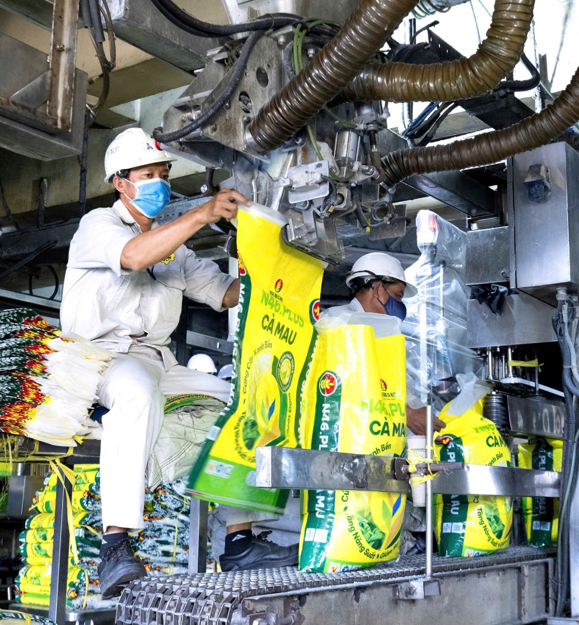 Dây chuyền sản xuất và vận chuyển tại cảng của PVCFC - nền tảng vững chắc để mở rộng thị trường và vươn xa tại khu vực Đông Nam Á.