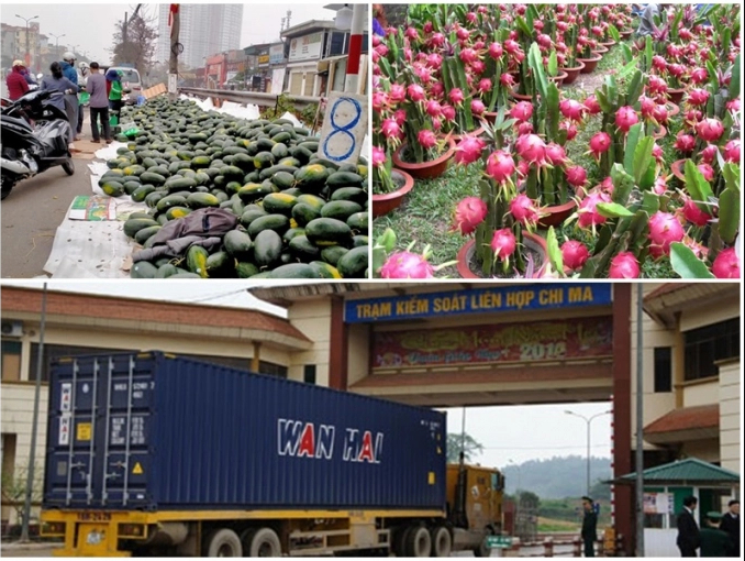 Không chuyển hàng nông sản lên biên giới Trung Quốc
